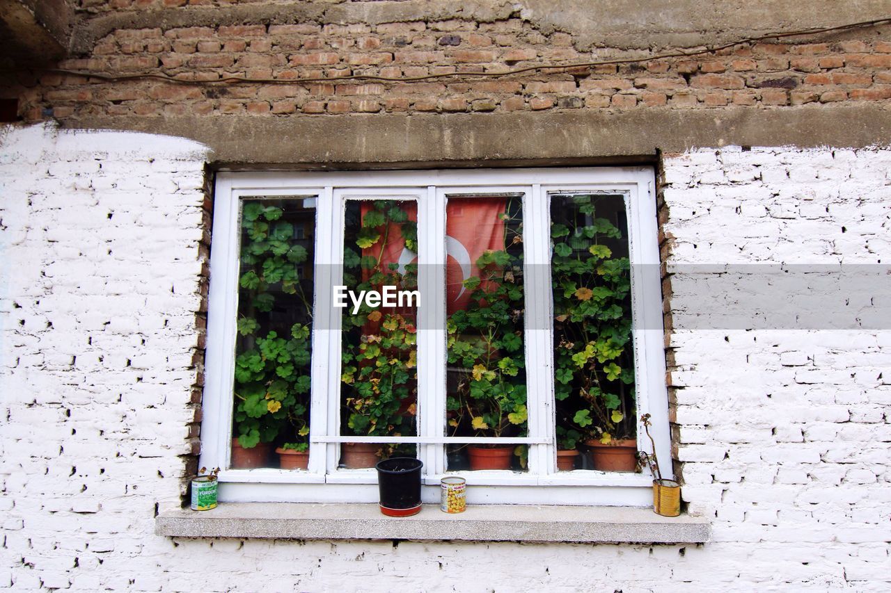 Closed window of building