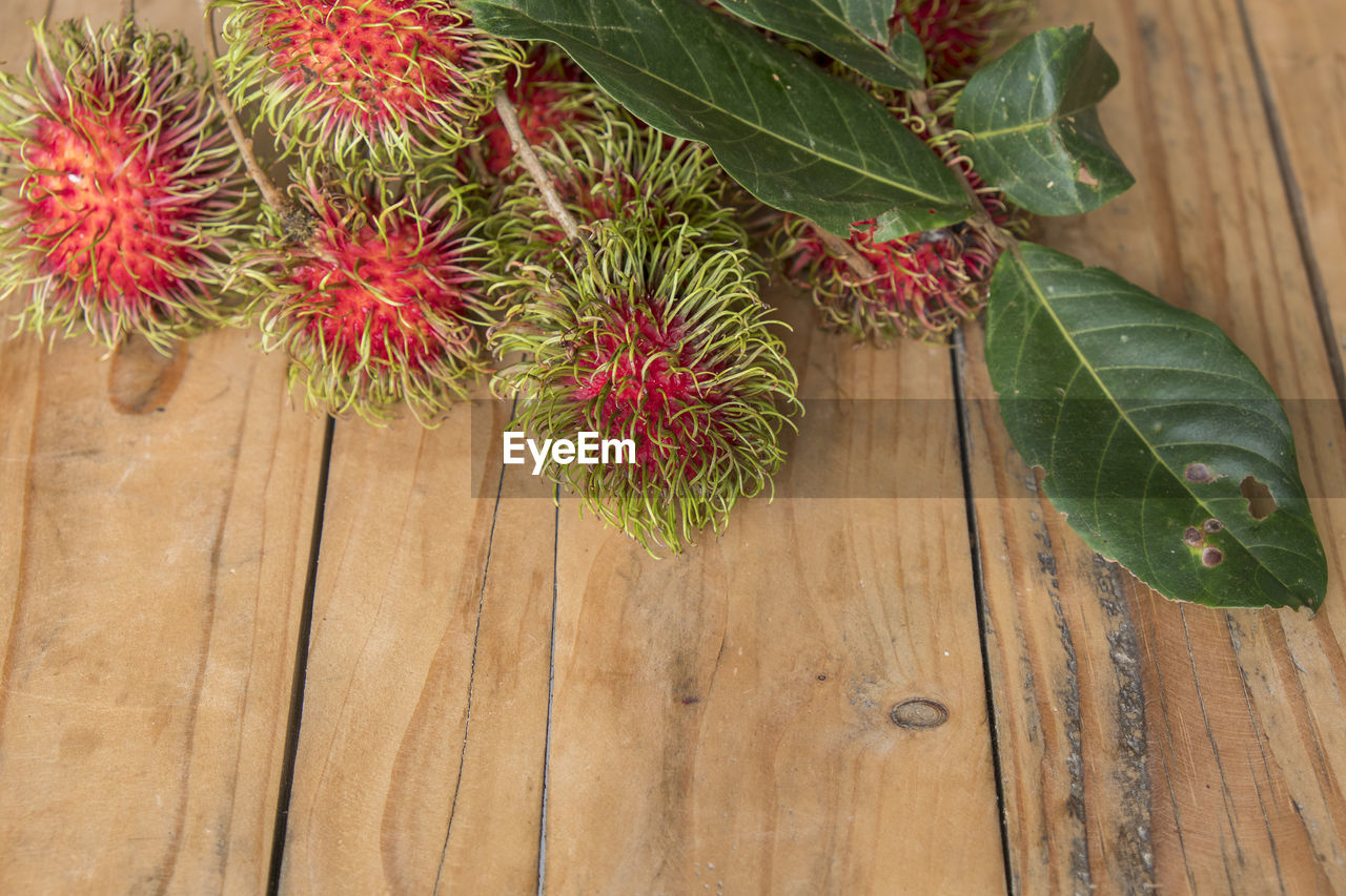 HIGH ANGLE VIEW OF FRUITS GROWING ON TABLE