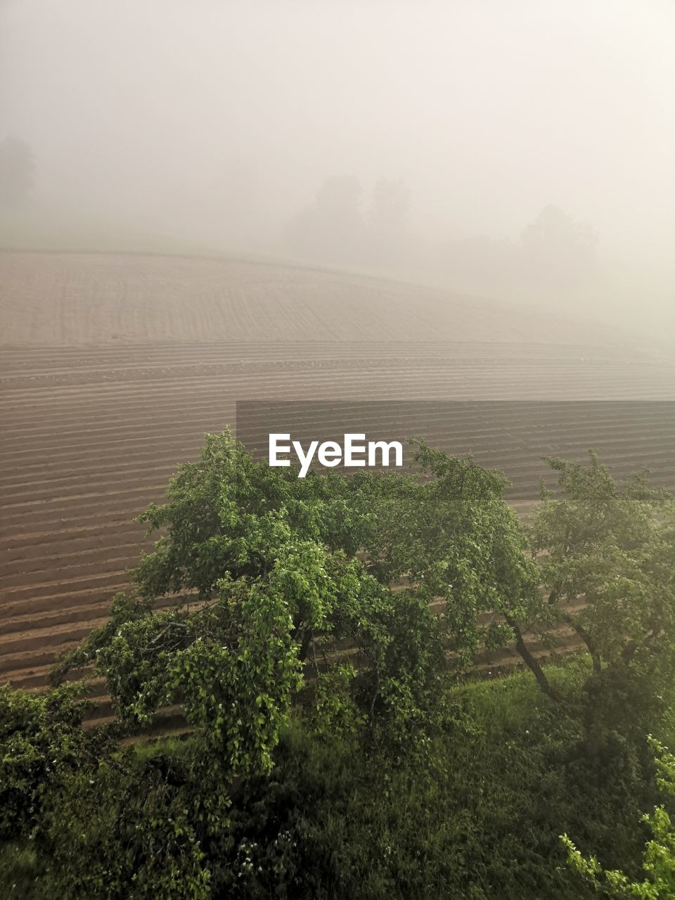 SCENIC VIEW OF LANDSCAPE AGAINST SKY DURING FOGGY WEATHER