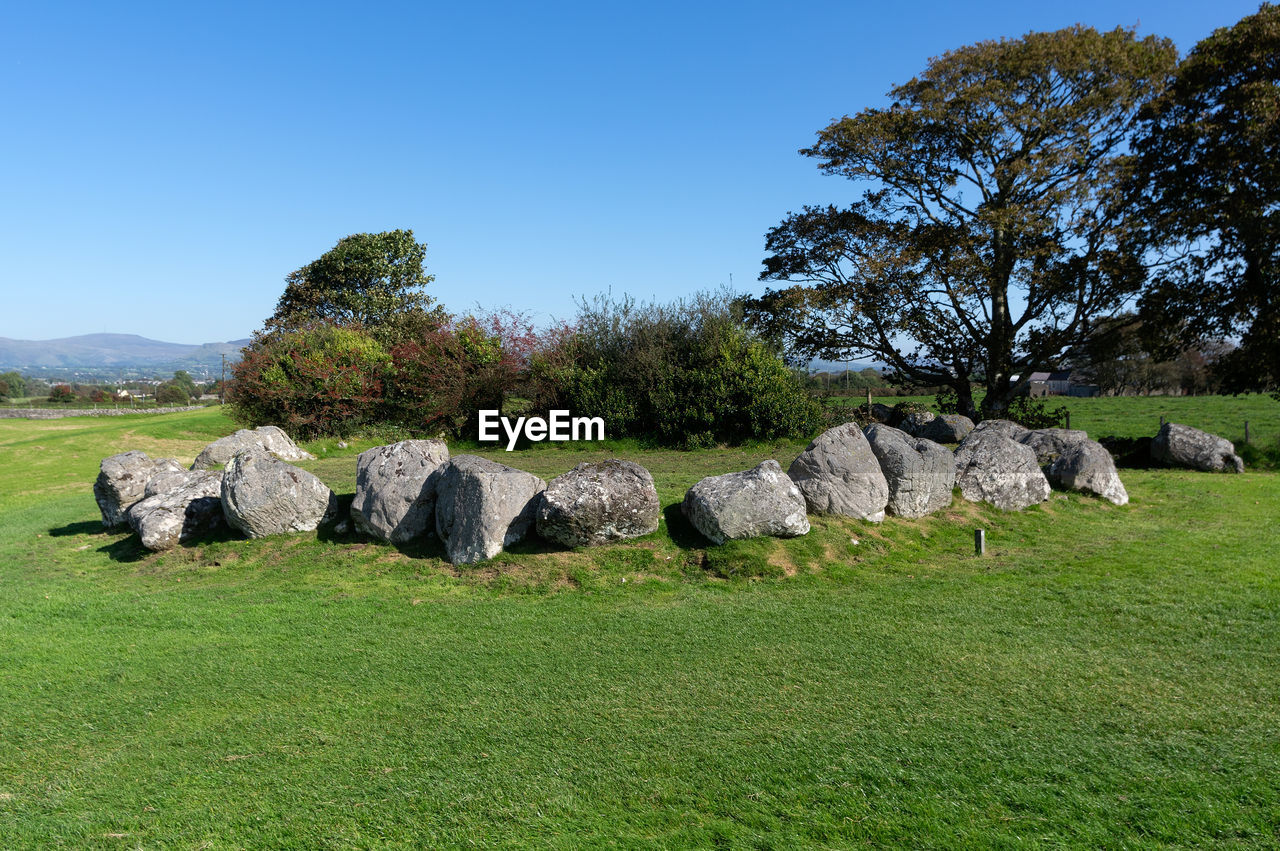 ROCKS ON FIELD AGAINST TREES