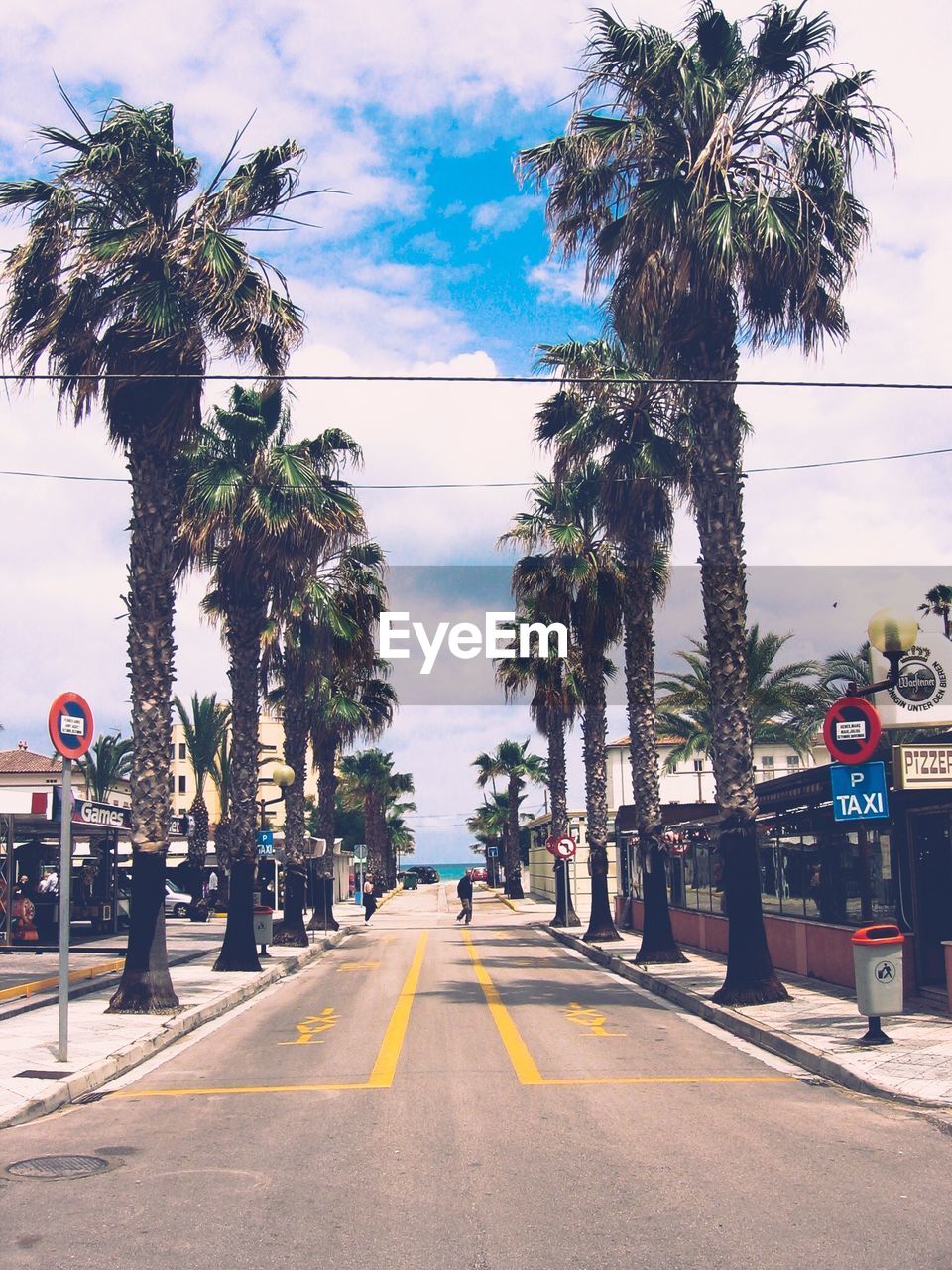 PALM TREES ON ROAD AGAINST SKY