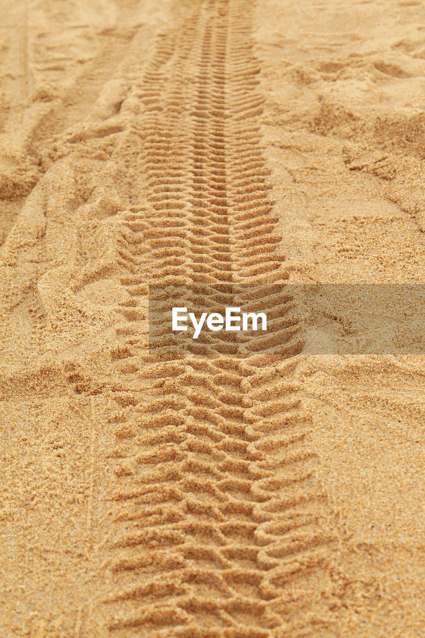 SURFACE LEVEL OF TIRE TRACKS ON SAND