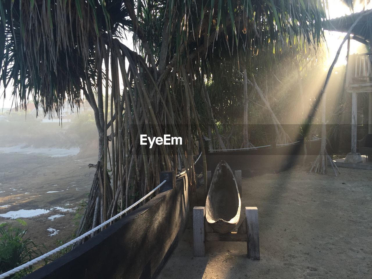 Traditional wooden boat by tree