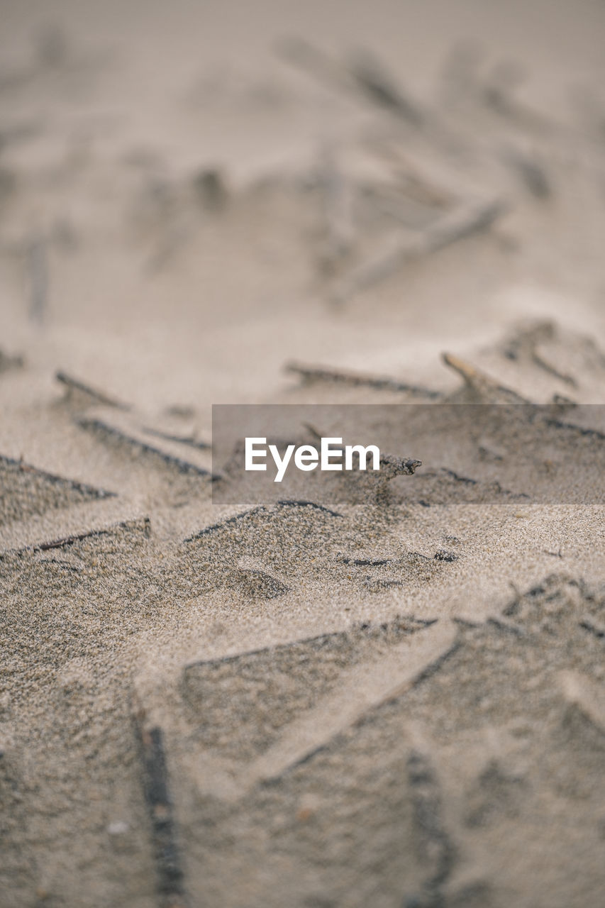 Full frame shot of sand with small branches