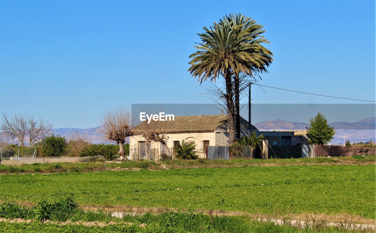 plant, architecture, sky, built structure, tree, building, building exterior, landscape, rural scene, nature, grass, field, house, rural area, clear sky, agriculture, palm tree, land, blue, no people, tropical climate, residential district, village, day, farm, green, environment, growth, scenics - nature, outdoors, sunny, non-urban scene, history, beauty in nature, farmhouse, flower, crop