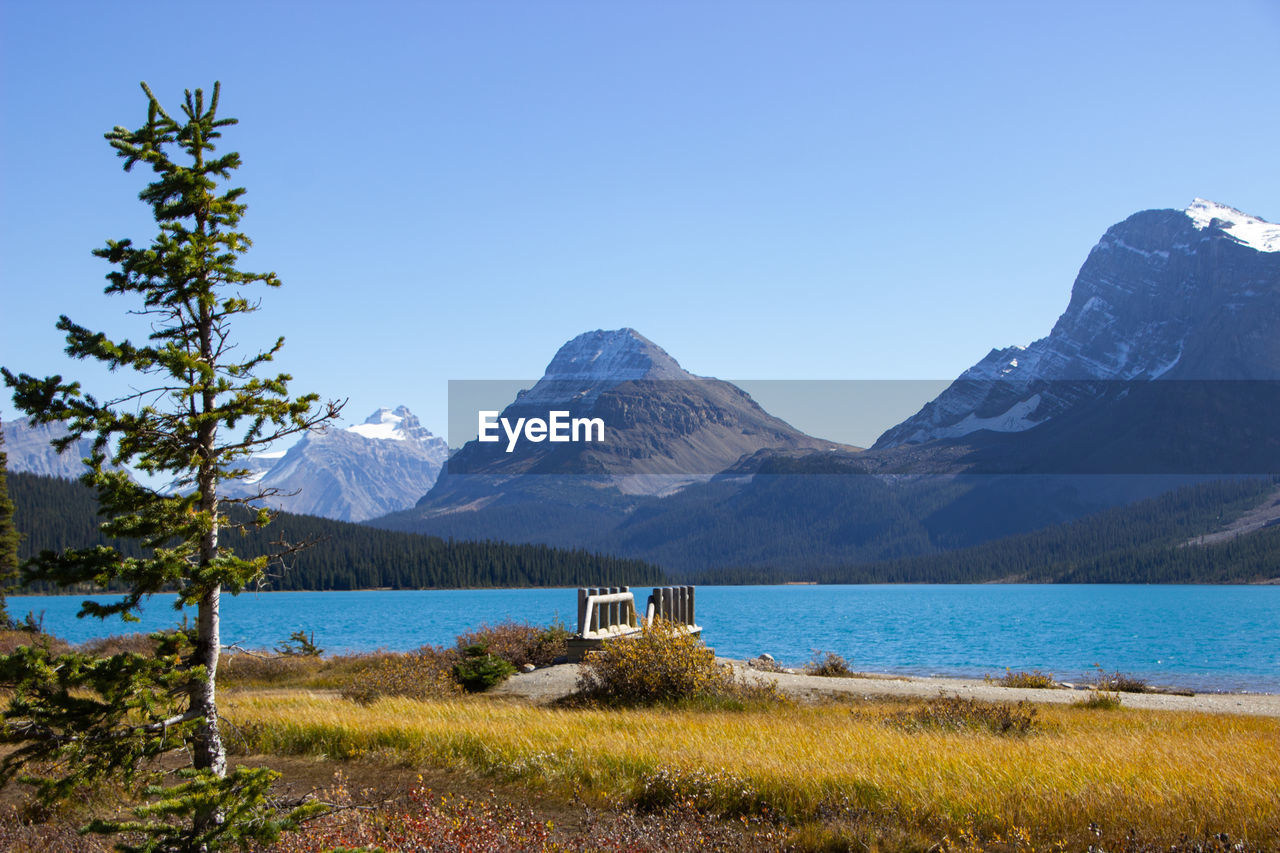 Wooden bridge at bow lake with the canadian rockies in the background on a sunny fall day.