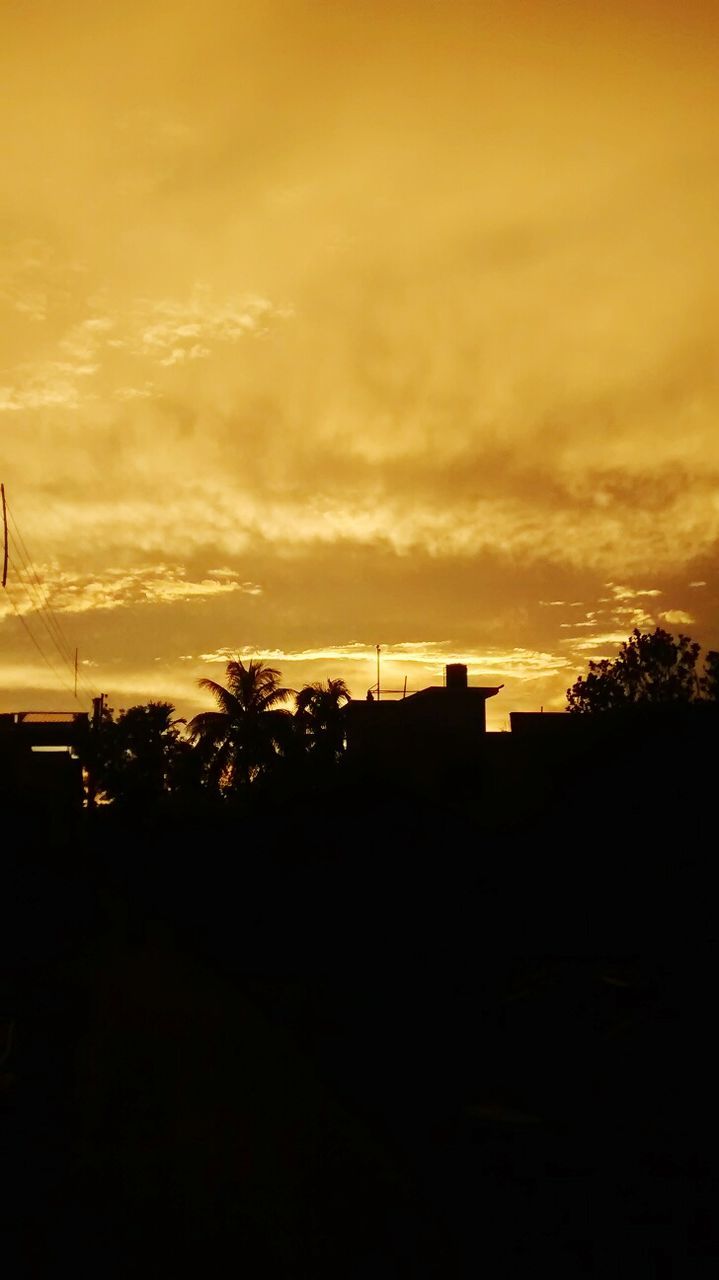 SILHOUETTE TREES AGAINST ORANGE SKY DURING SUNSET