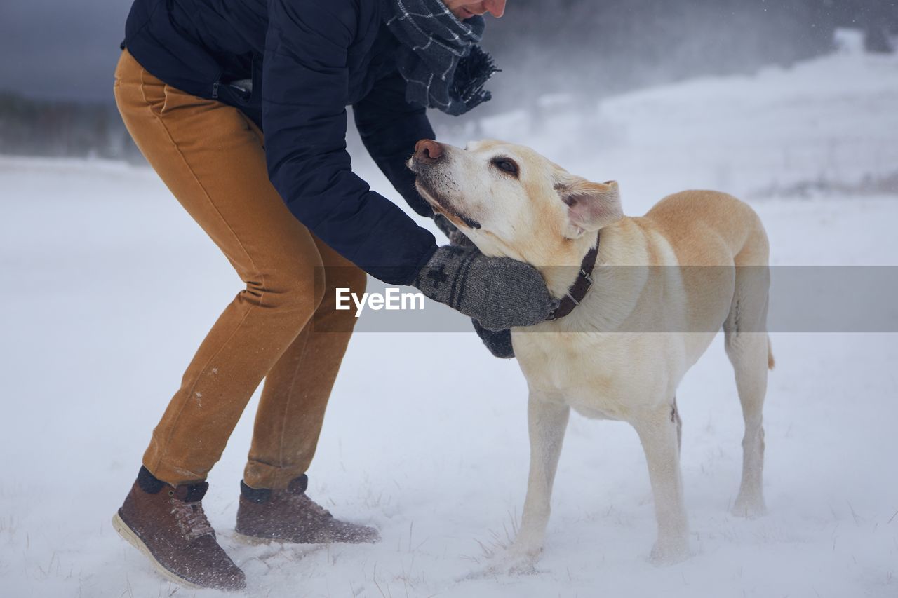 Low section of man with dog standing on snow covered land