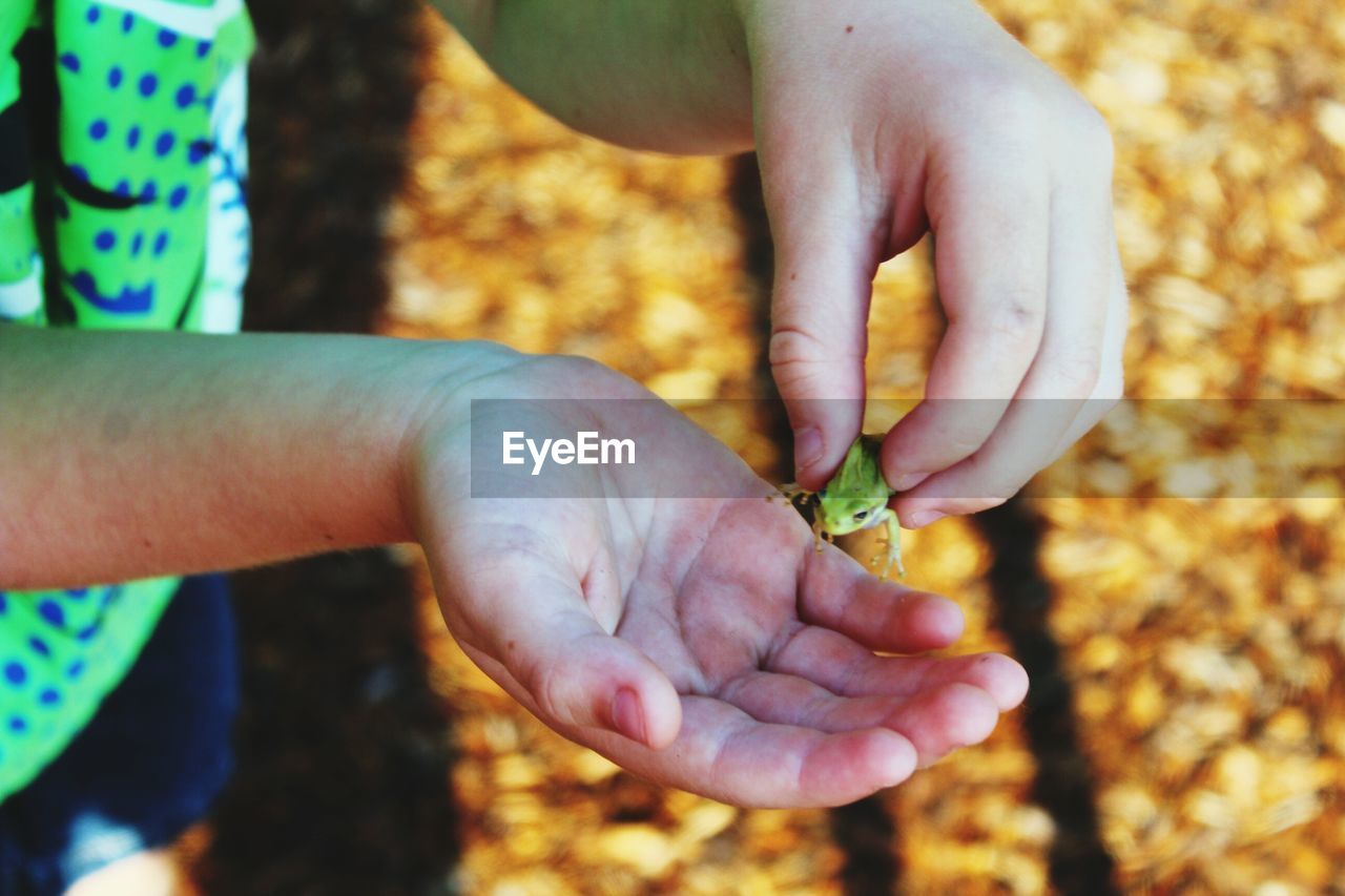 CLOSE-UP OF HAND HOLDING BABY