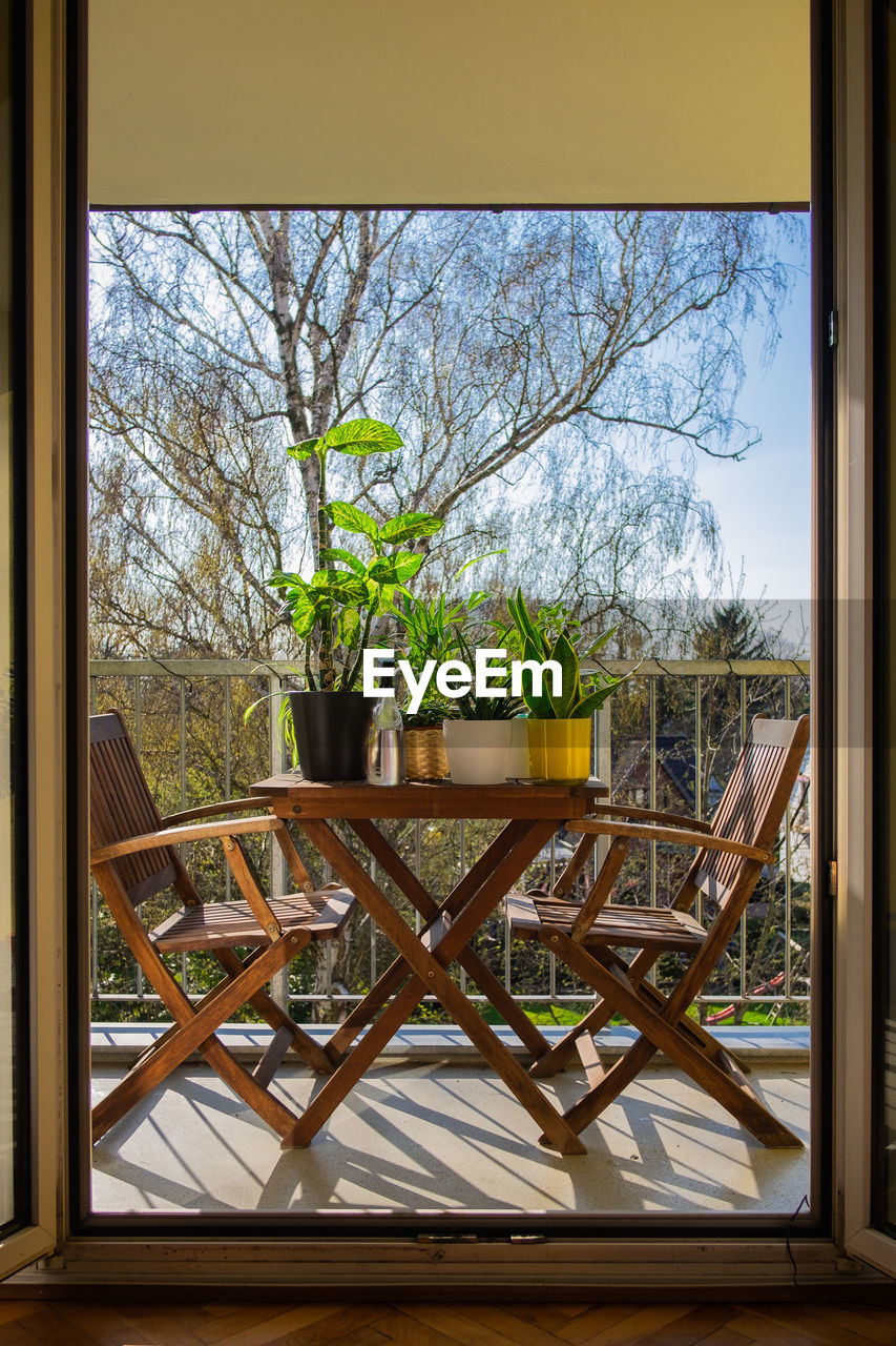 POTTED PLANTS ON GLASS WINDOW AT HOME