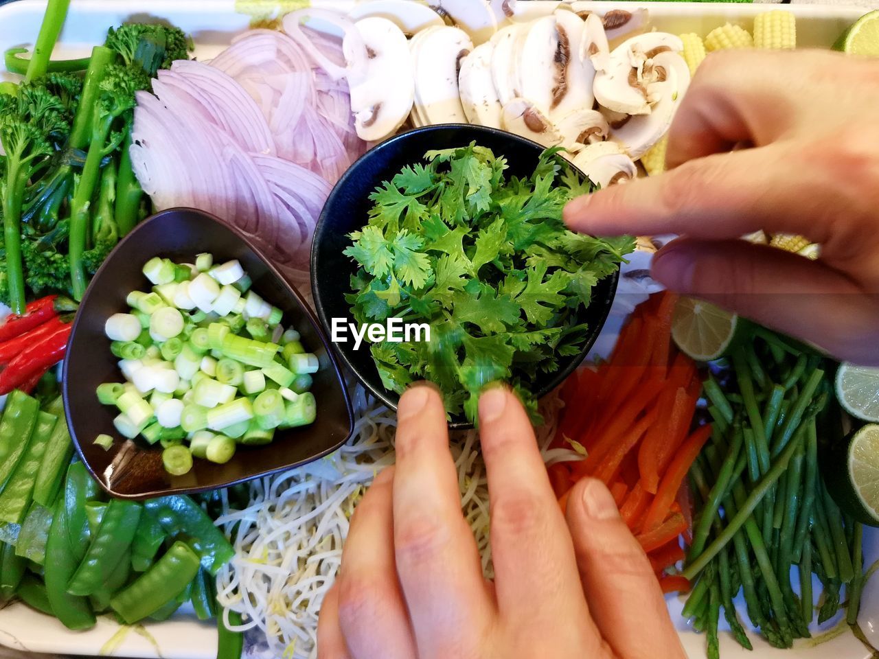 HIGH ANGLE VIEW OF HAND HOLDING VEGETABLES IN PLATE