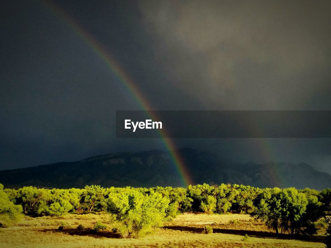 Scenic view of rainbow over landscape