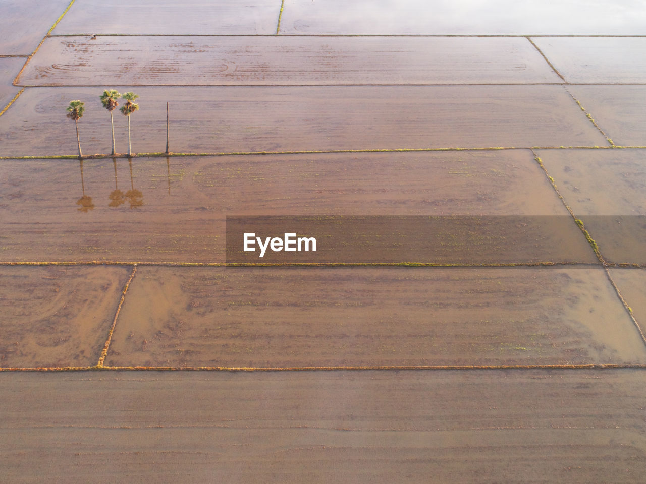 HIGH ANGLE VIEW OF WOODEN FLOOR