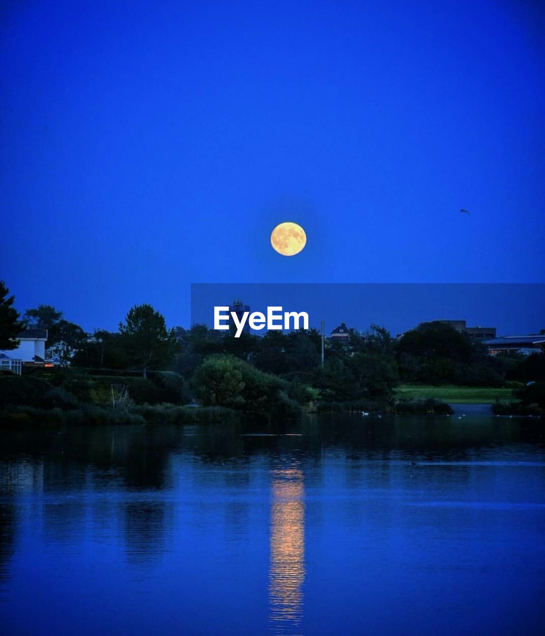 HOT AIR BALLOON FLYING OVER WATER