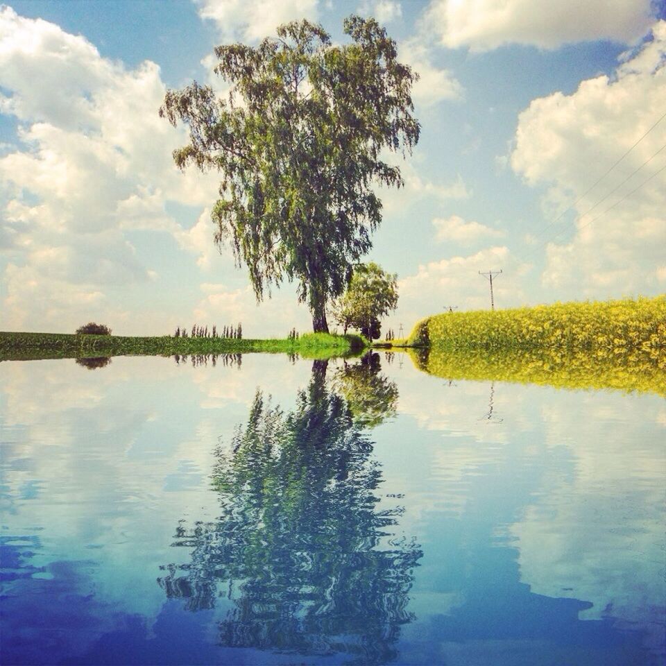 Scenic shot of reflection of tree in calm lake