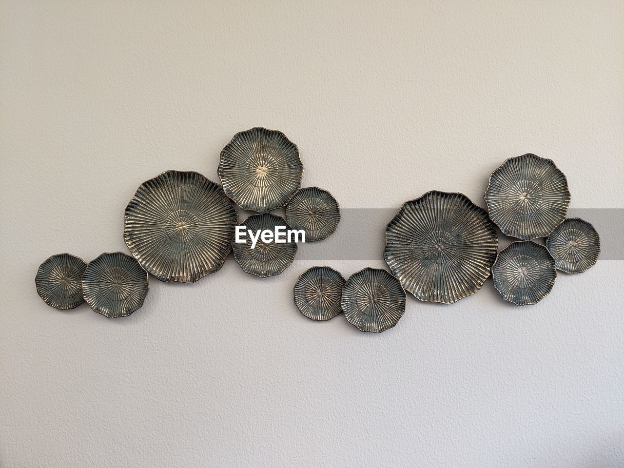 HIGH ANGLE VIEW OF SHELLS ON WHITE BACKGROUND