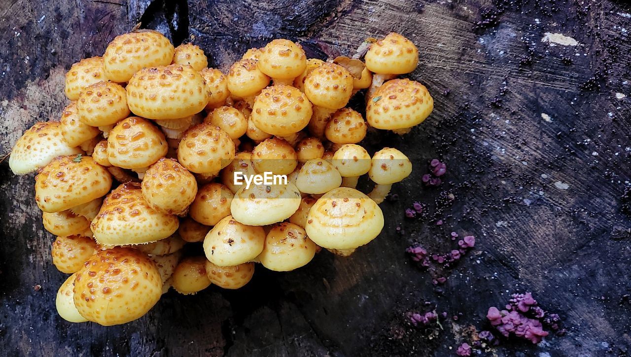 HIGH ANGLE VIEW OF FRUITS IN WOOD