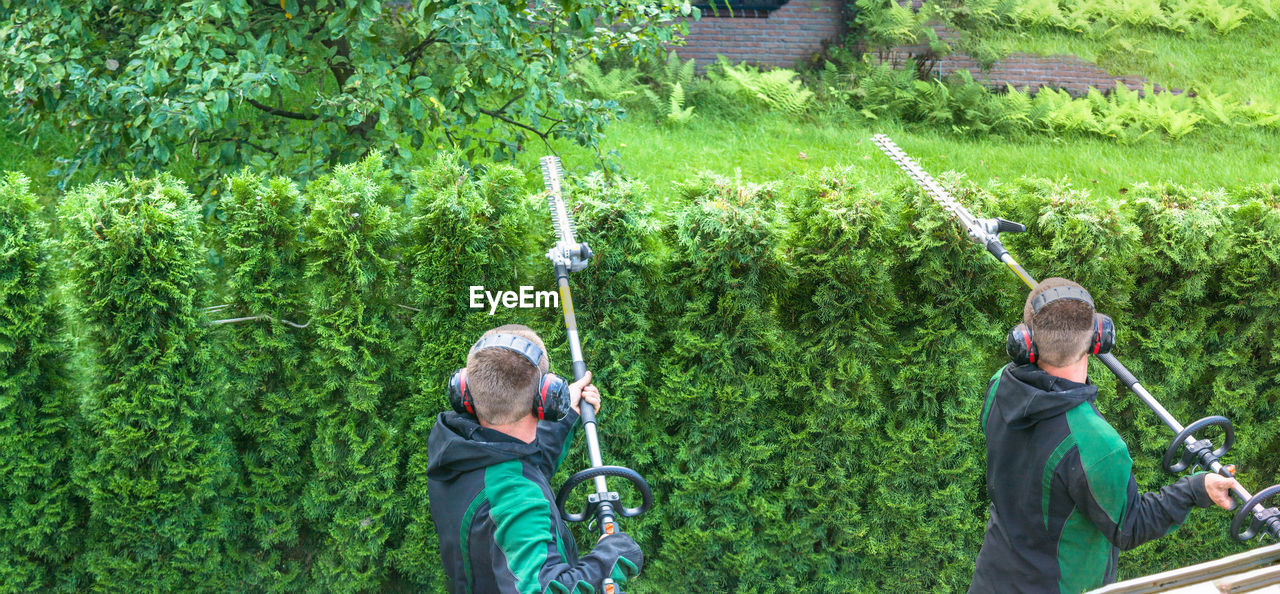 Rear view of men with hedge clippers in garden