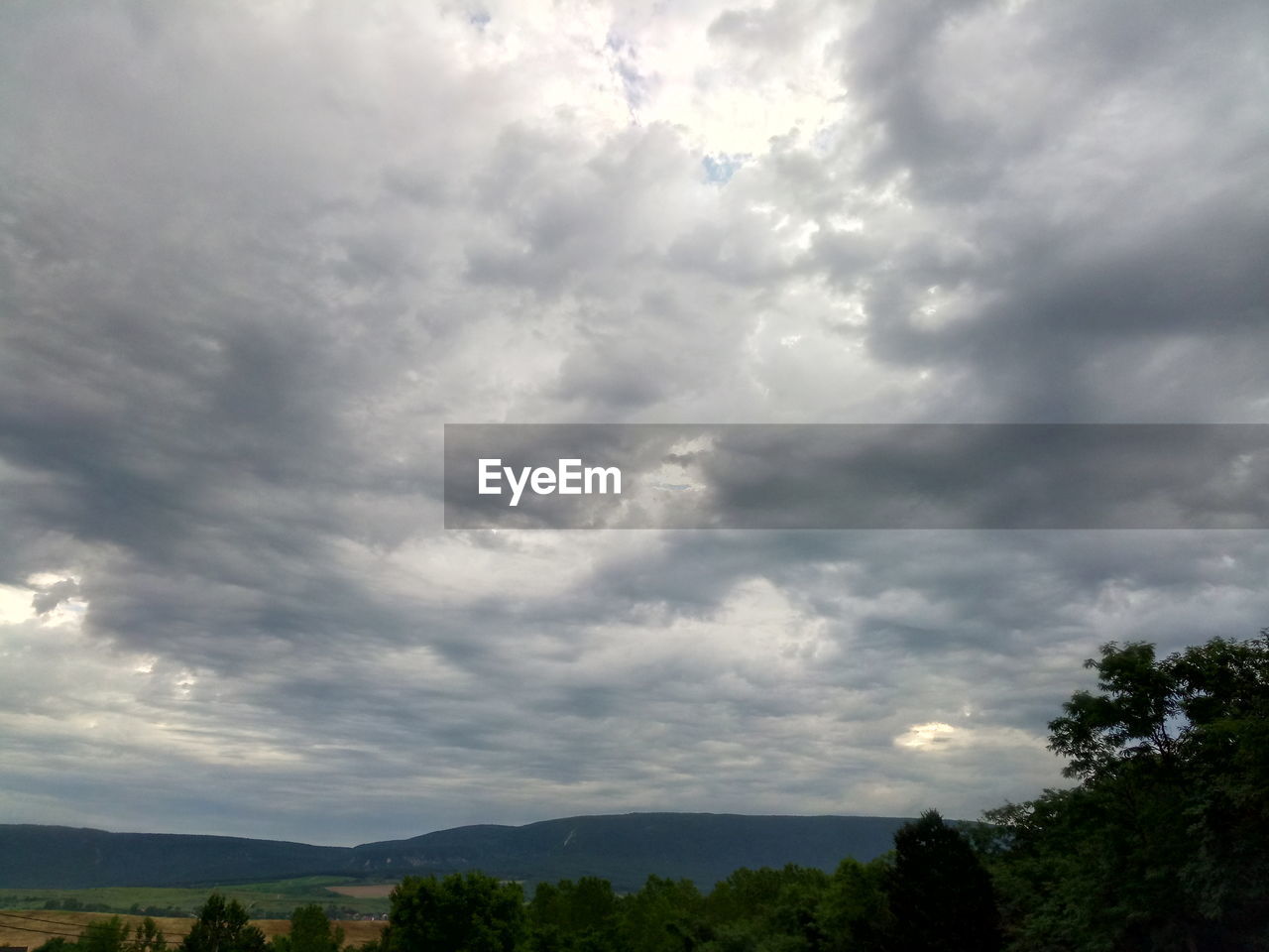 LOW ANGLE VIEW OF STORM CLOUDS OVER PLANTS