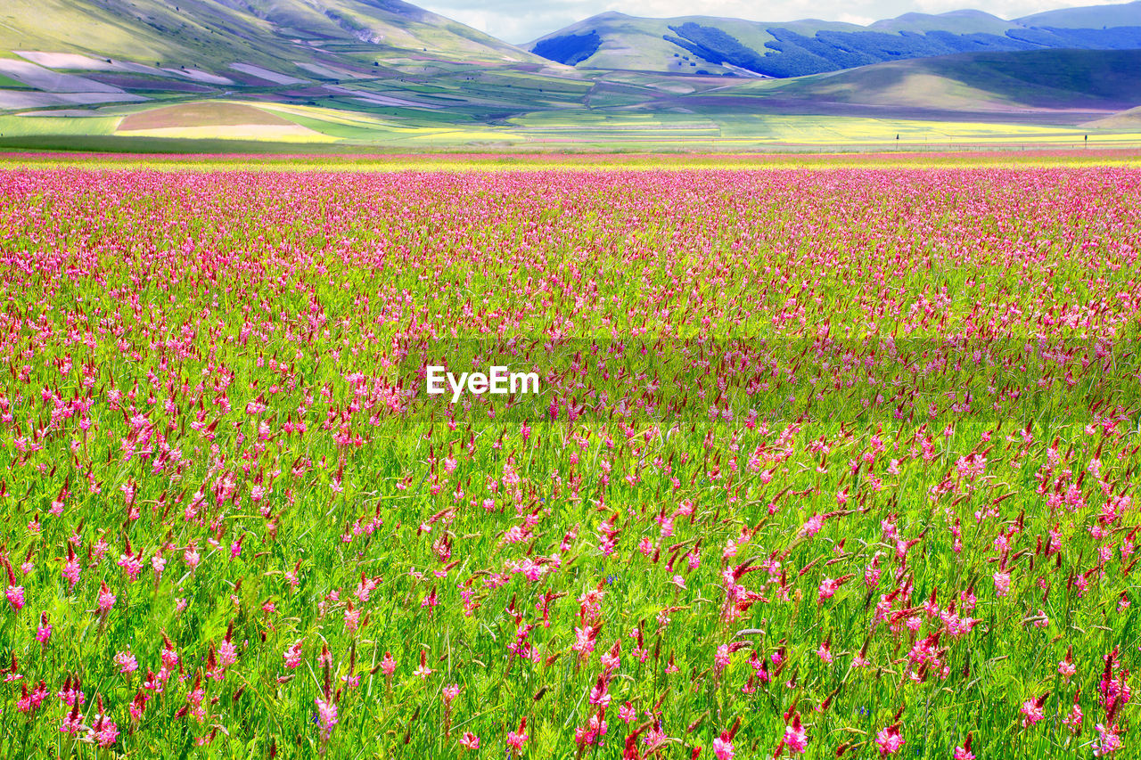 Scenic view of landscape and mountains