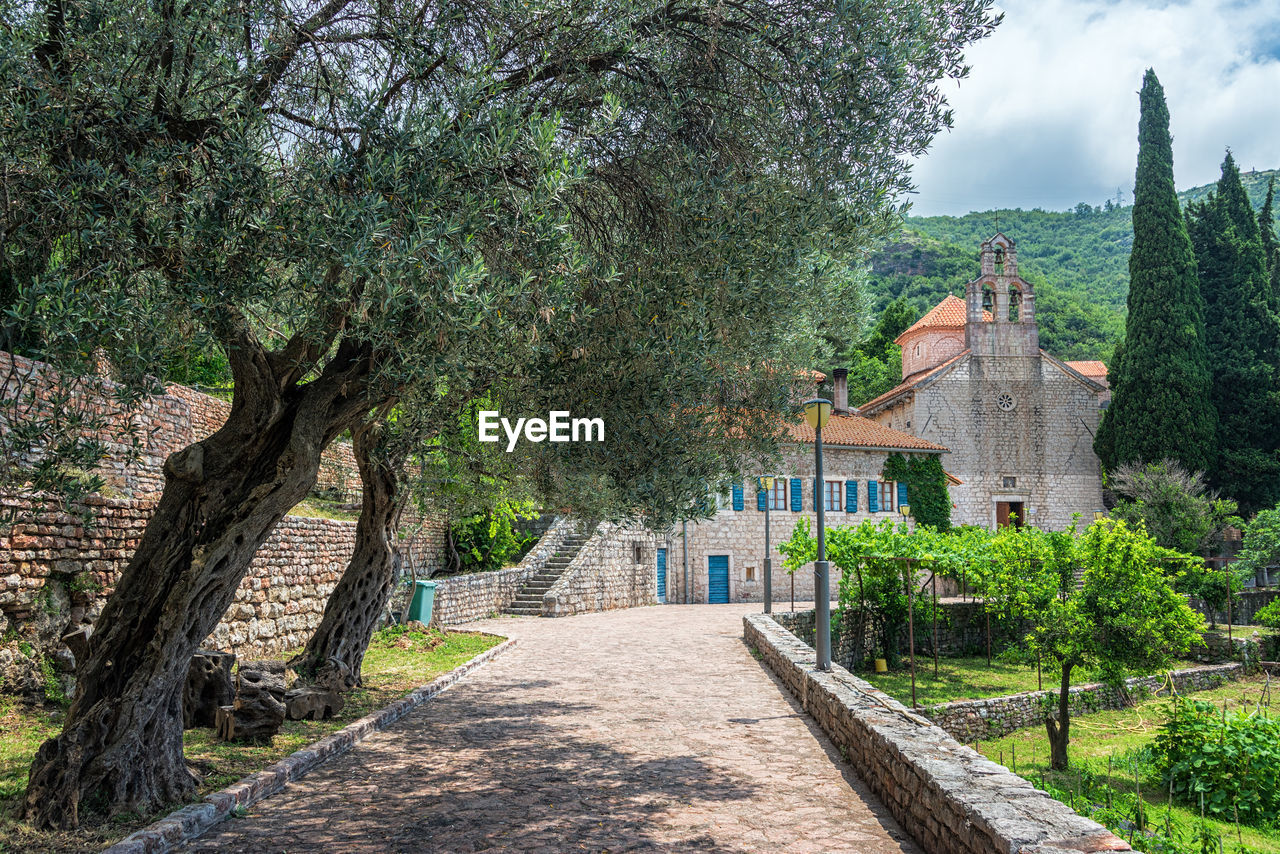 Walkway amidst trees and buildings