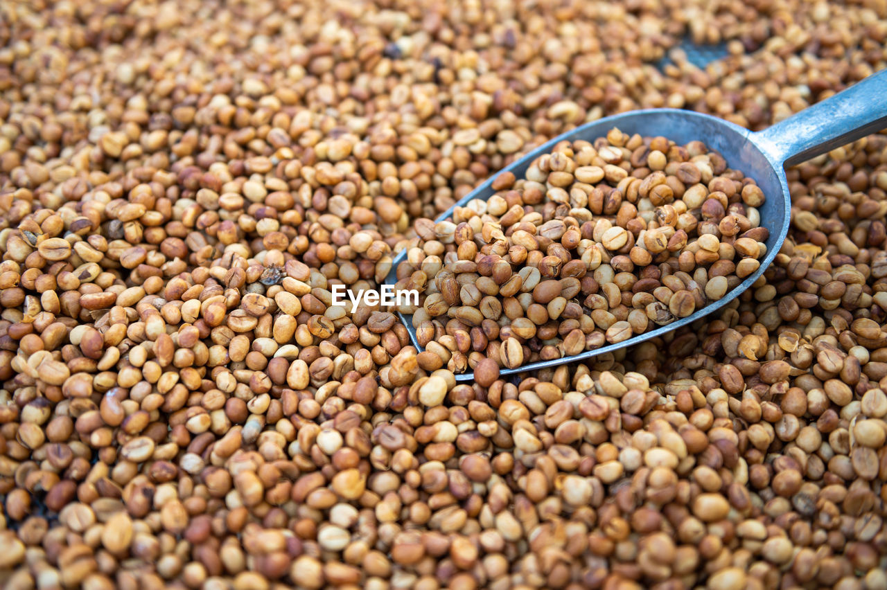 Dried coffee beans with coffee scoop