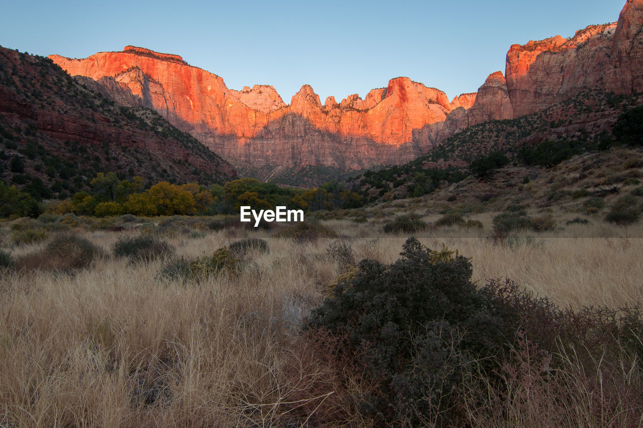 Natural landscape in autumn at zion national park in usa