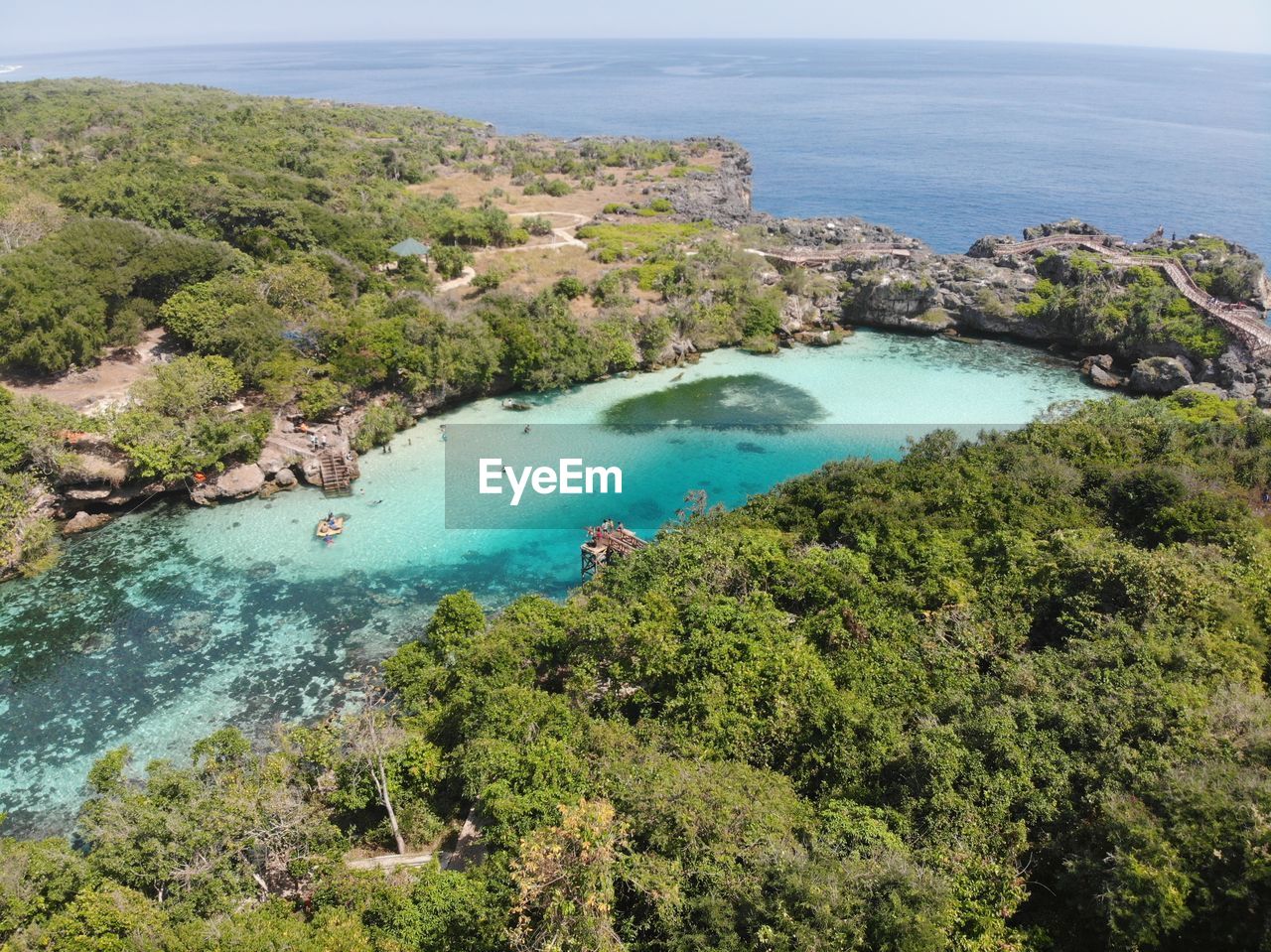 High angle view of bay and trees