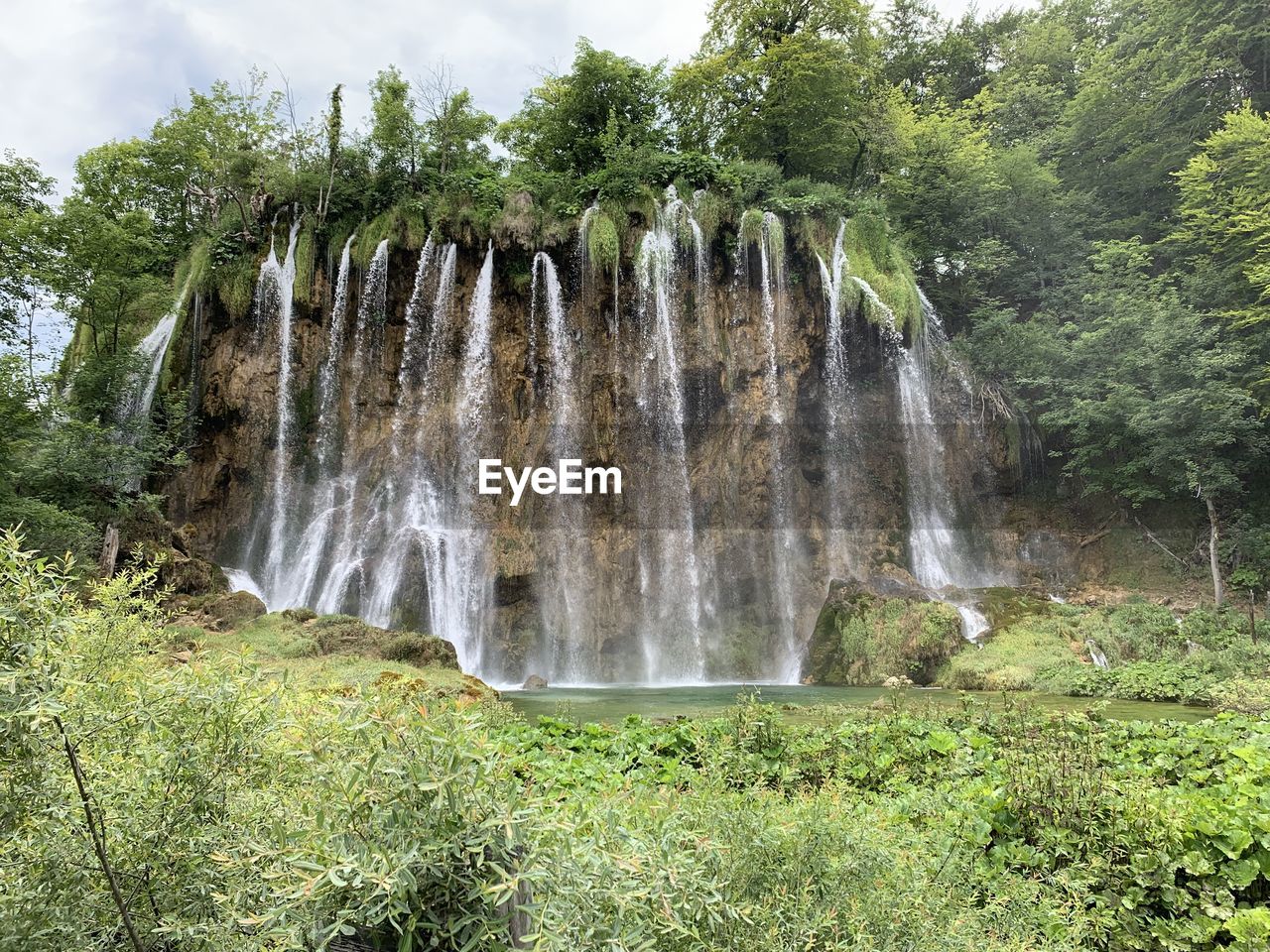 VIEW OF WATERFALL IN FOREST