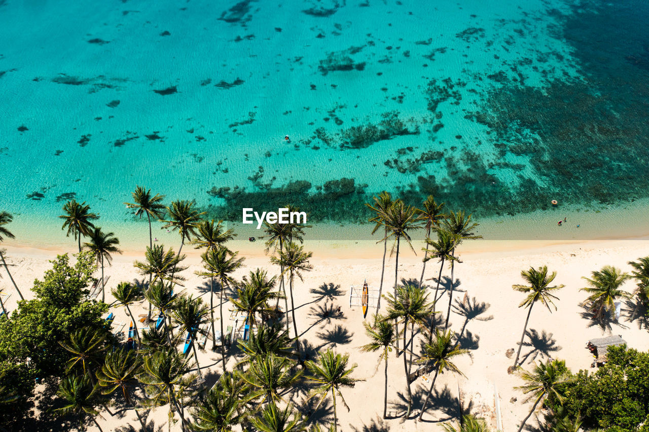 Tropical beach with palm trees and blue lagoon water. pagudpud, ilocos norte philippines