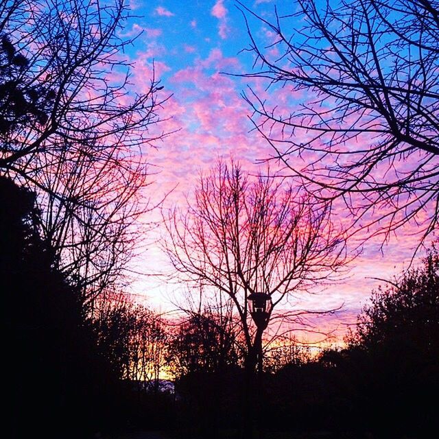 SILHOUETTE OF BARE TREES AGAINST SKY AT SUNSET