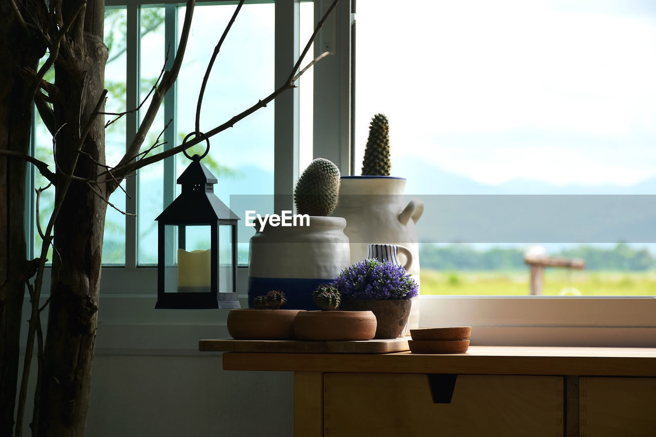 Potted plants on window sill