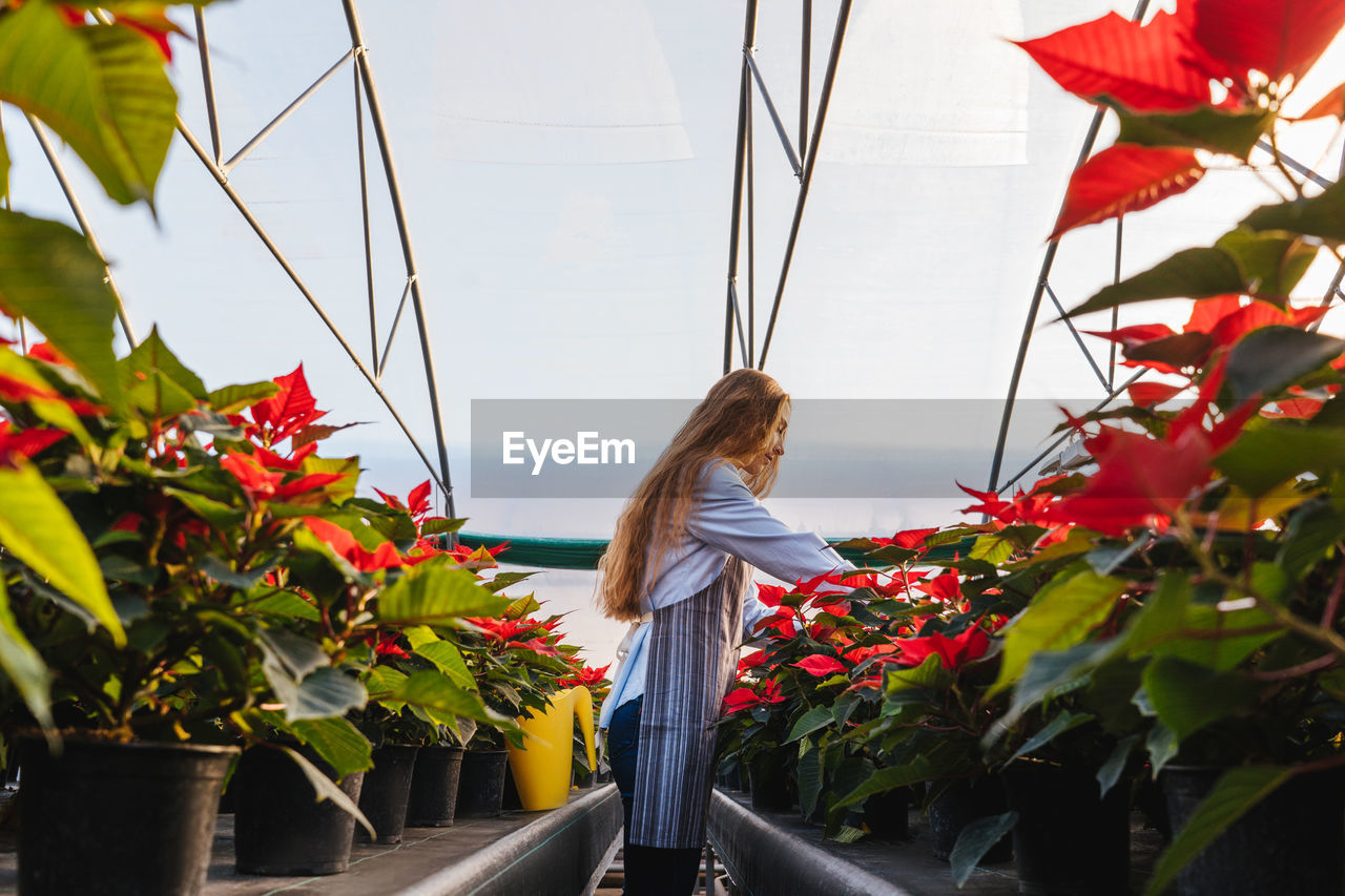 Side view of woman examining plants in greenhouse