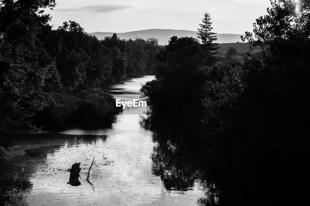 SILHOUETTE MAN BY LAKE AGAINST SKY AT FOREST