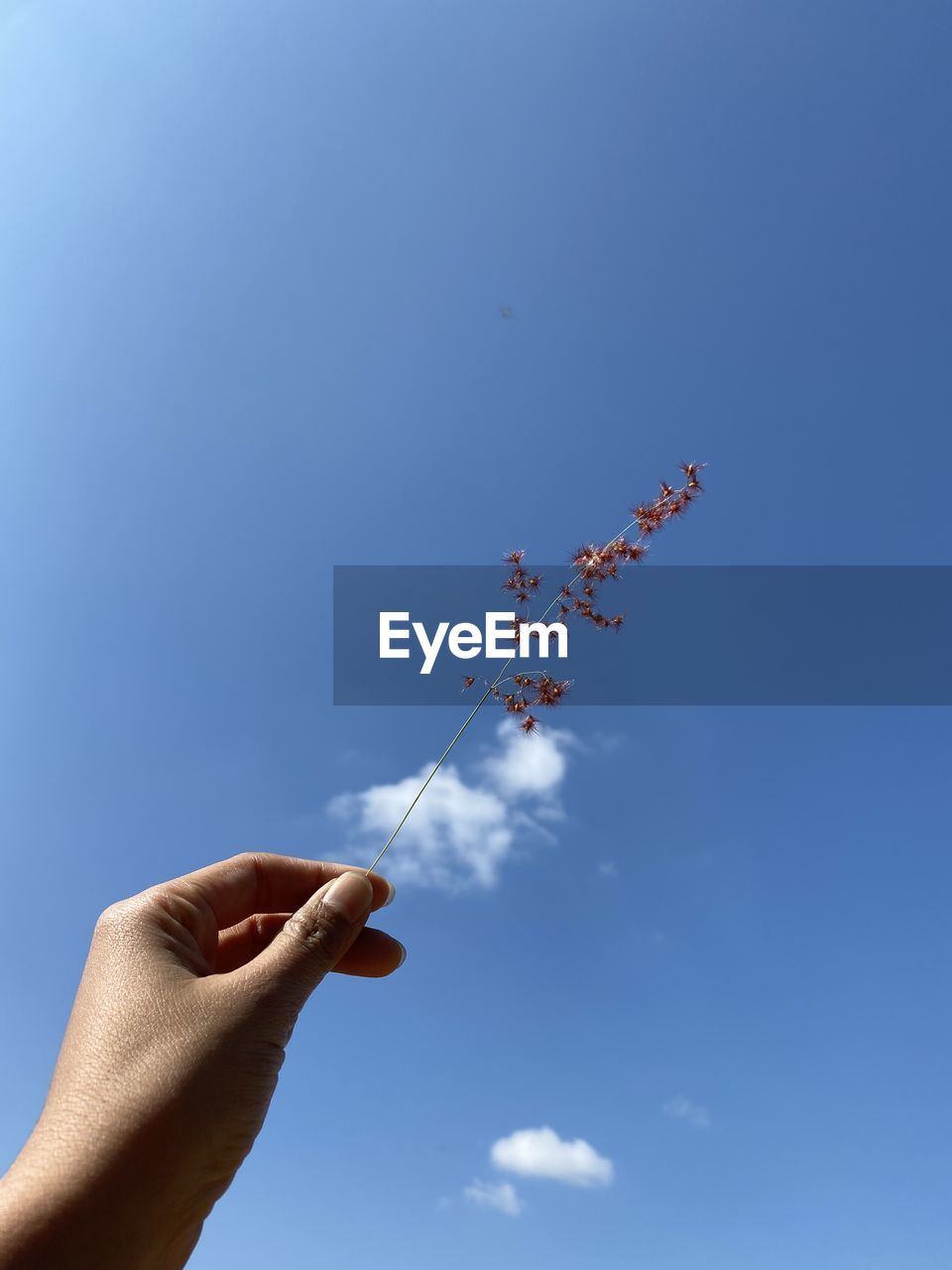 LOW ANGLE VIEW OF PERSON PARAGLIDING AGAINST SKY