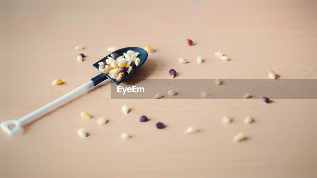 Corn seeds for growing
