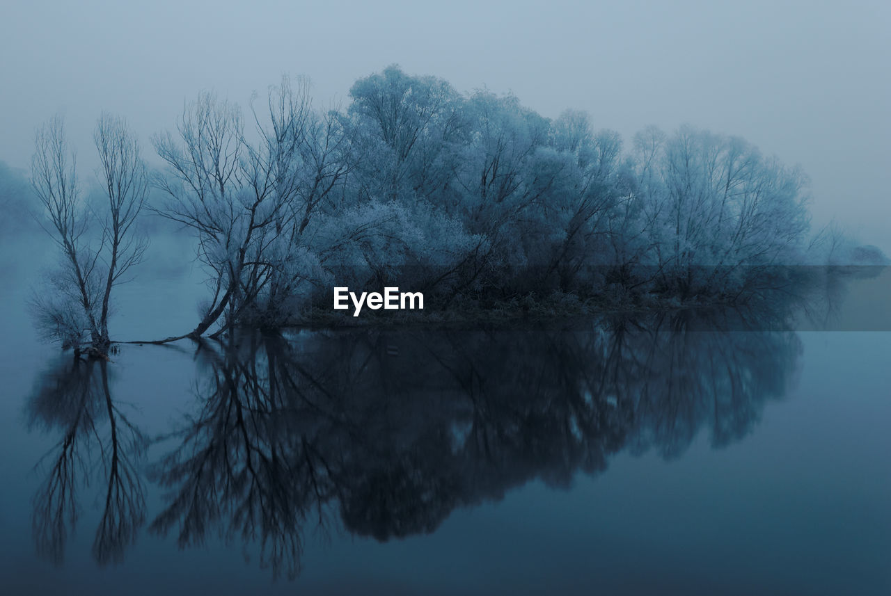 Reflection of tree in lake against sky during winter