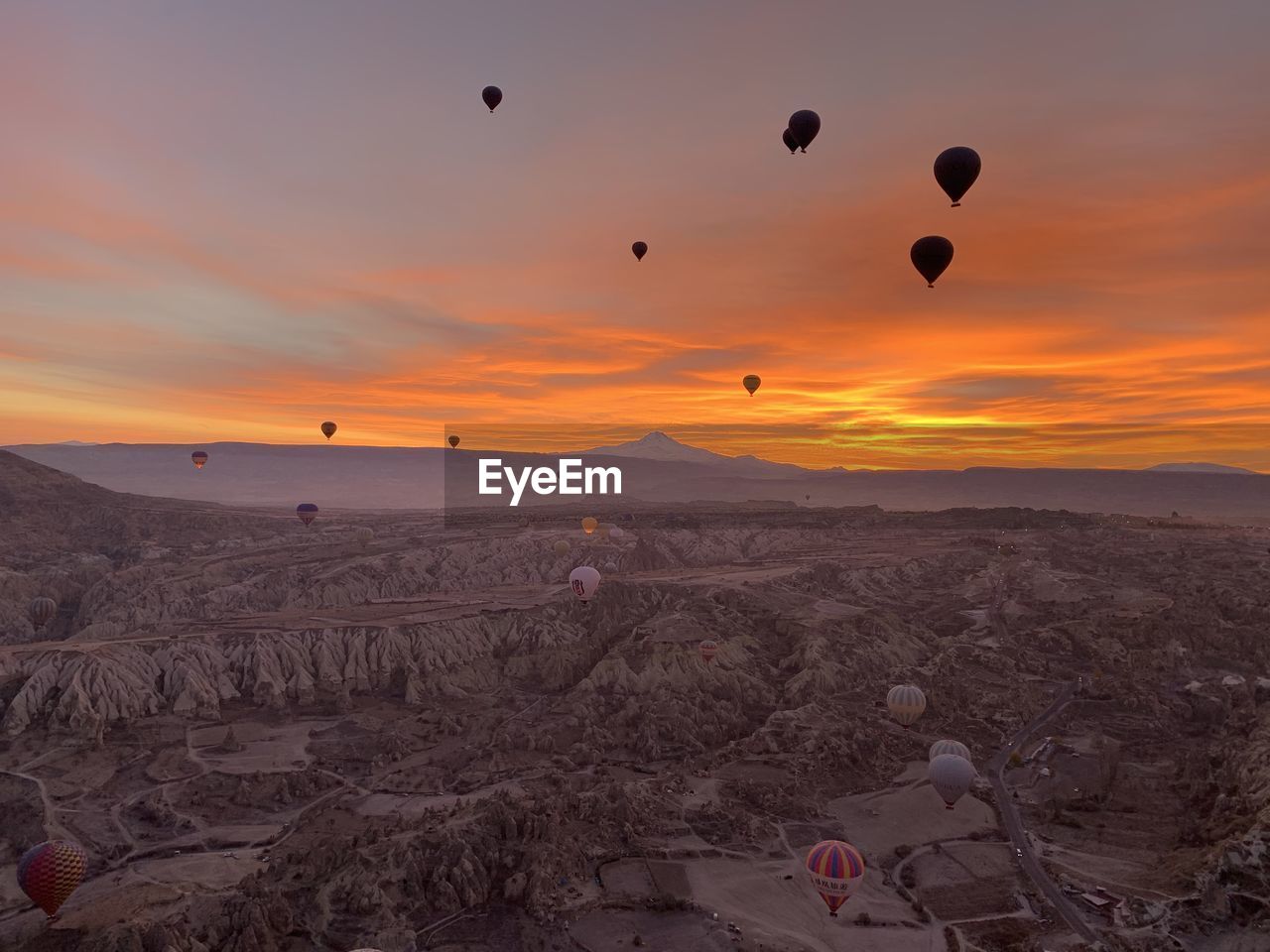 Hot air balloons flying over land during sunrise