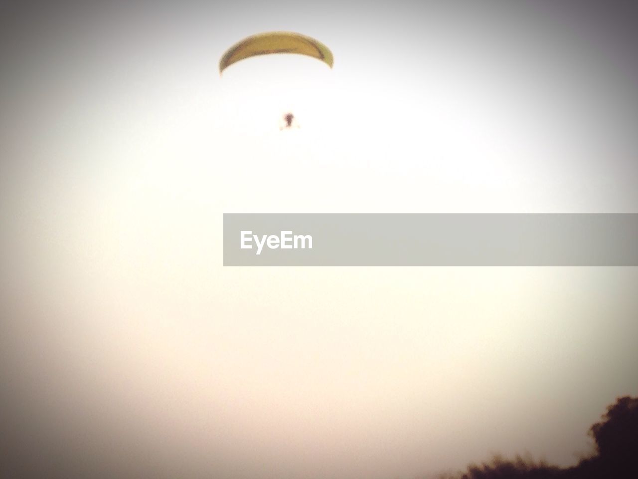 LOW ANGLE VIEW OF BIRDS FLYING OVER SKY