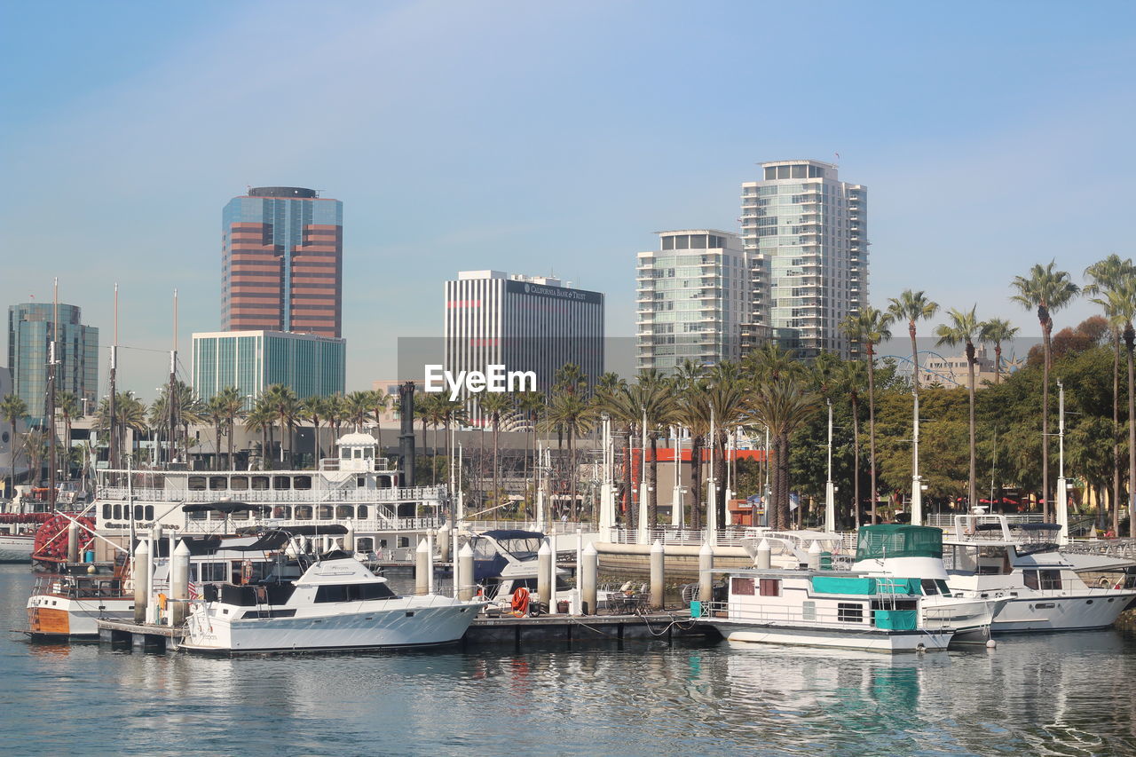 SAILBOATS MOORED ON HARBOR AGAINST BUILDINGS IN CITY