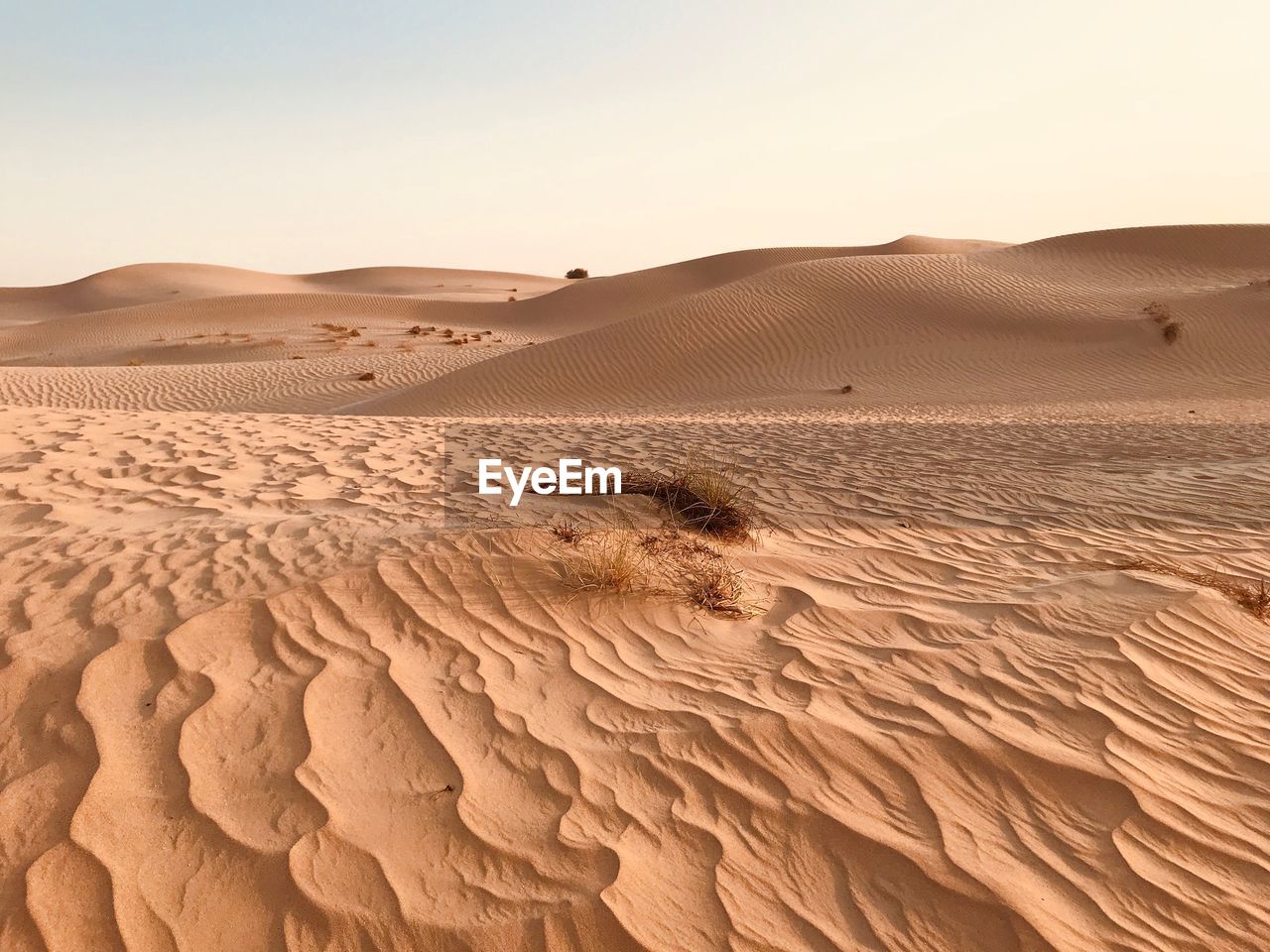 SAND DUNES IN DESERT