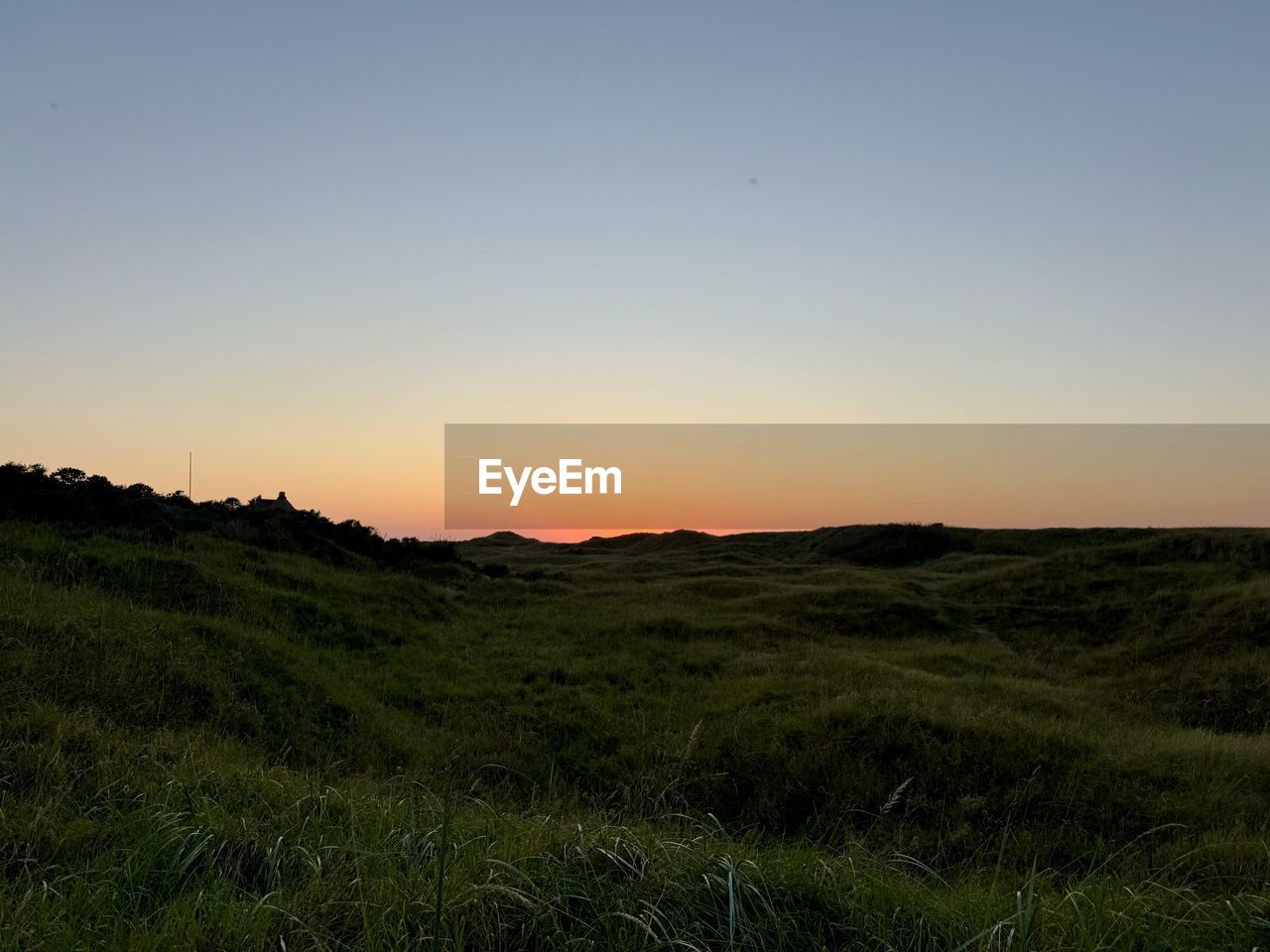 sky, horizon, landscape, nature, environment, hill, natural environment, scenics - nature, beauty in nature, sunset, plant, grass, tranquility, grassland, plain, land, tranquil scene, prairie, no people, field, dawn, sunlight, clear sky, non-urban scene, rural area, horizon over land, copy space, idyllic, outdoors, steppe, evening, rural scene, cloud, sun, tree, wilderness, twilight, silhouette, green, orange color, plateau, remote, blue, meadow