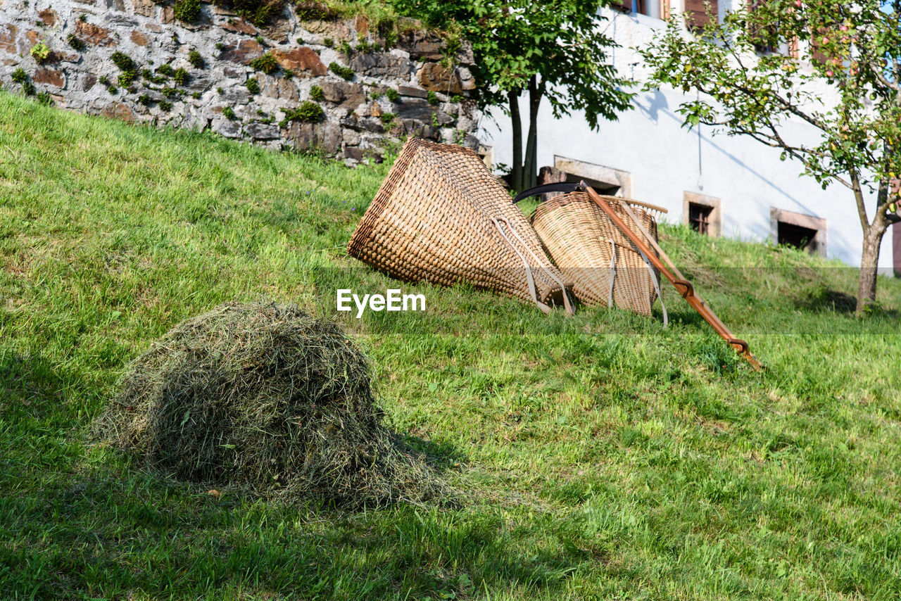 VIEW OF BASKET ON FIELD