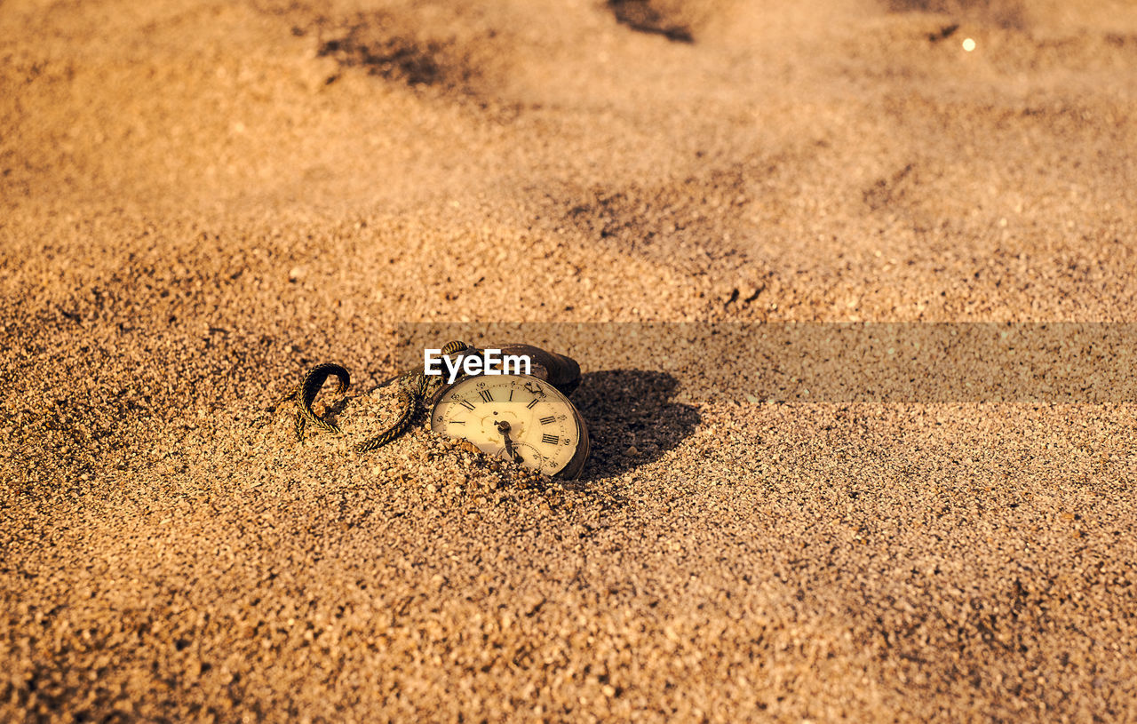 Still life - antique rotten pocket watch buried partial in the sand at the sunset