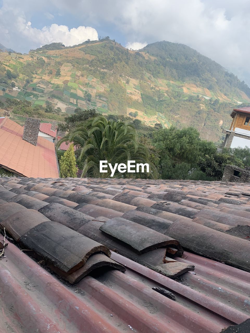 TREES AND BUILDINGS AGAINST MOUNTAINS