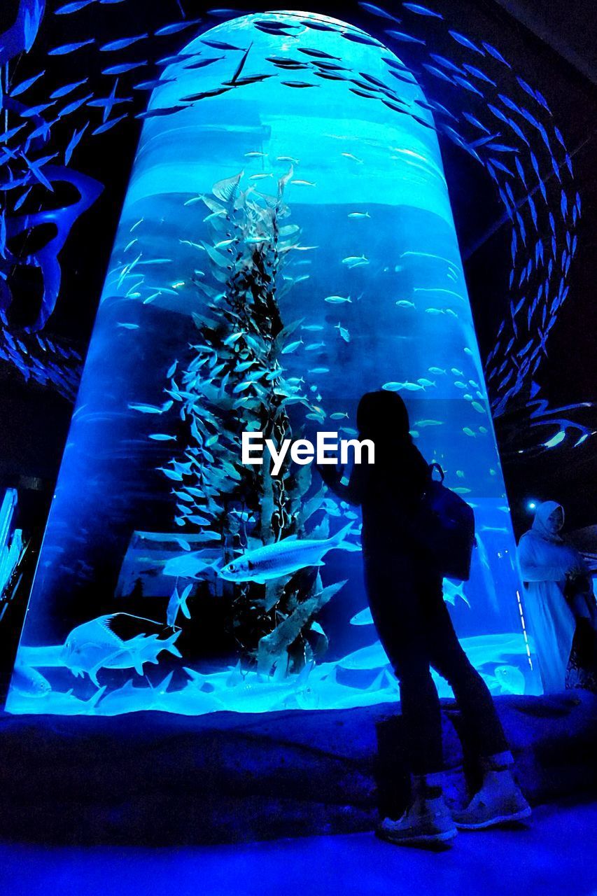 REAR VIEW OF TWO PEOPLE IN FISH TANK