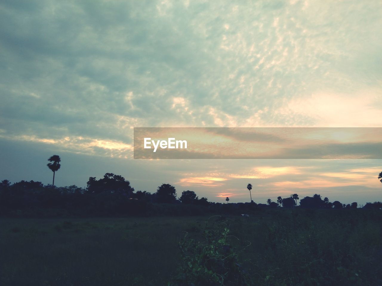 SCENIC VIEW OF SILHOUETTE FIELD AGAINST SKY AT SUNSET