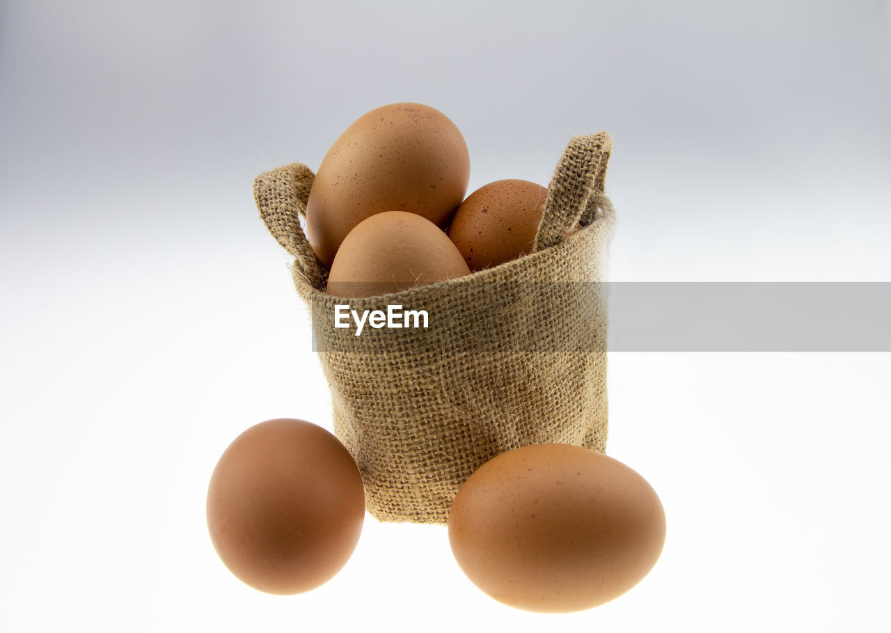 Close-up of eggs against white background