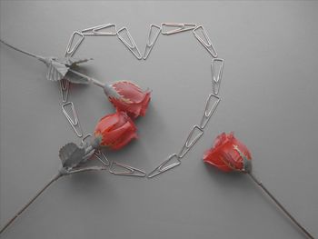 Close-up of red rose on table