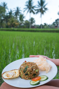 High angle view of meal served on field